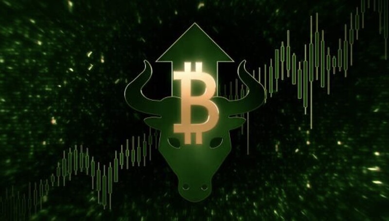 비트코인(BTC)