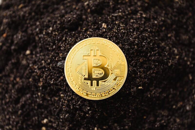 비트코인(BTC)