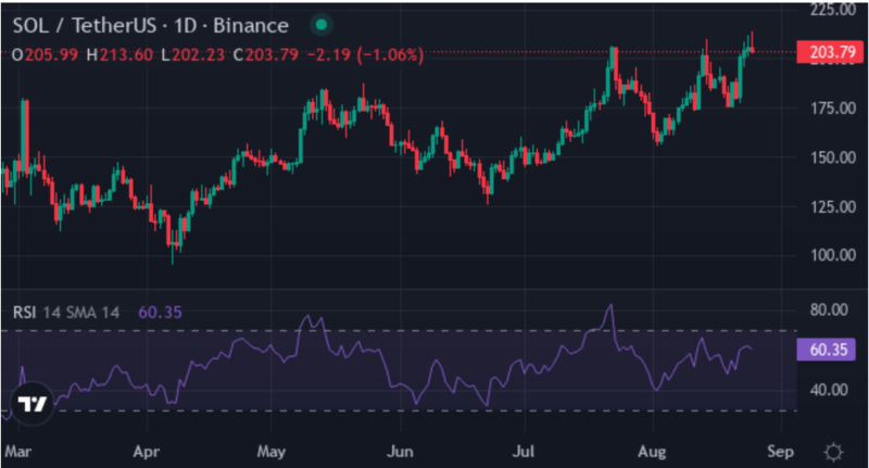 사진: 트레이딩뷰