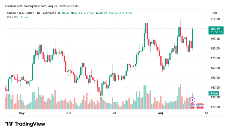 사진: 트레이딩뷰