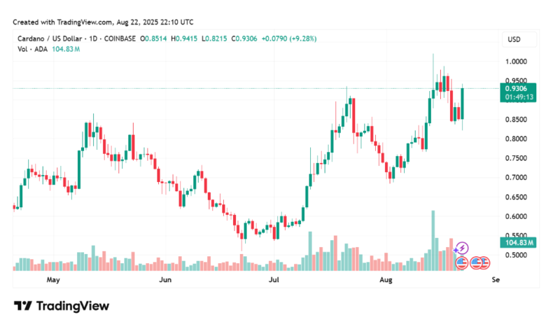 사진: 트레이딩뷰