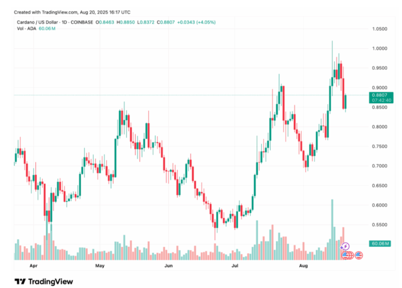사진: TradingView