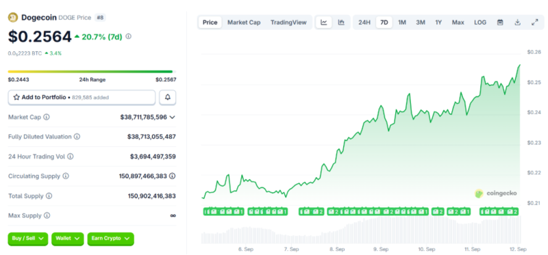 사진: 코인게코