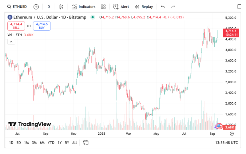 사진: 트레이딩뷰