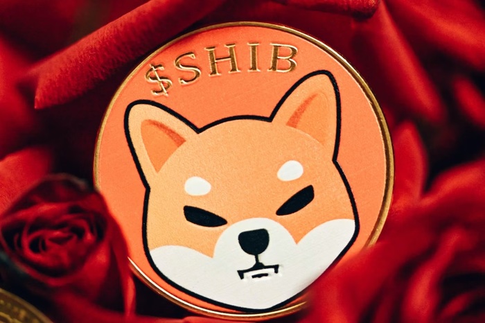 시바이누(SHIB)
