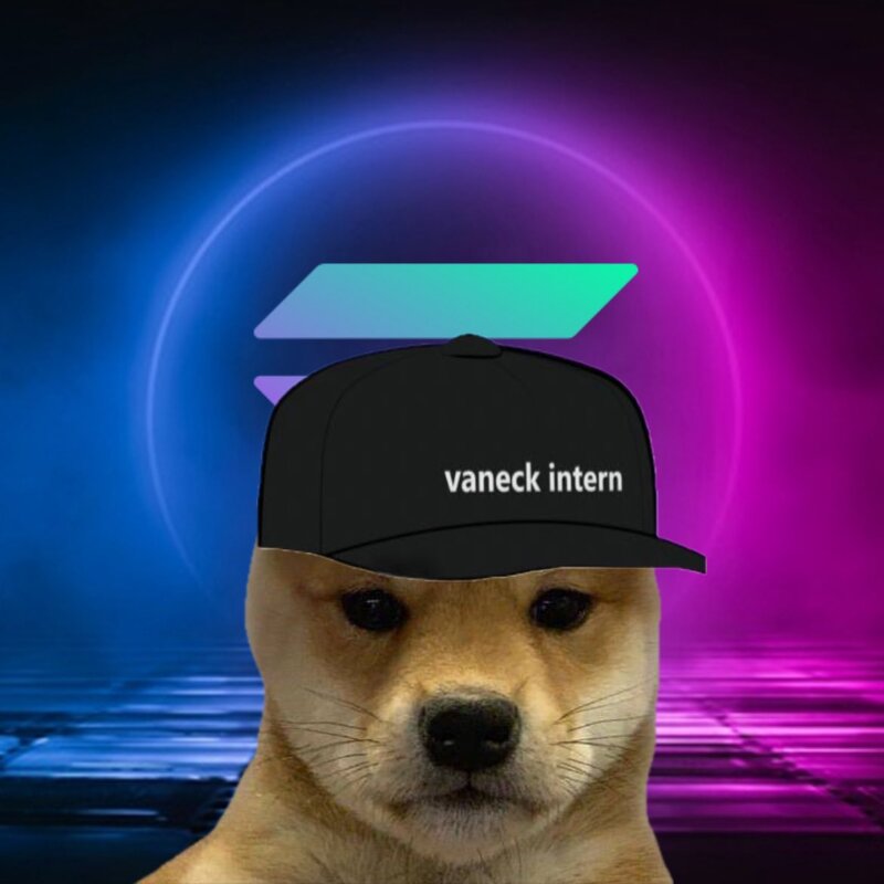 출처: @dogwifcoin
