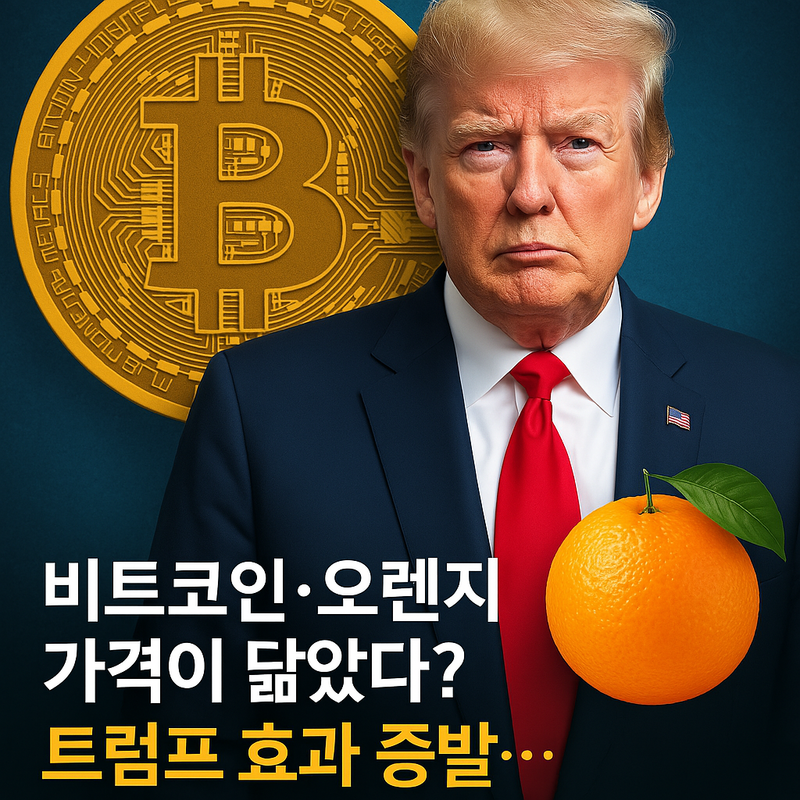 트럼프, 비트코인 그리고 오렌지/챗gpt 생성 이미지