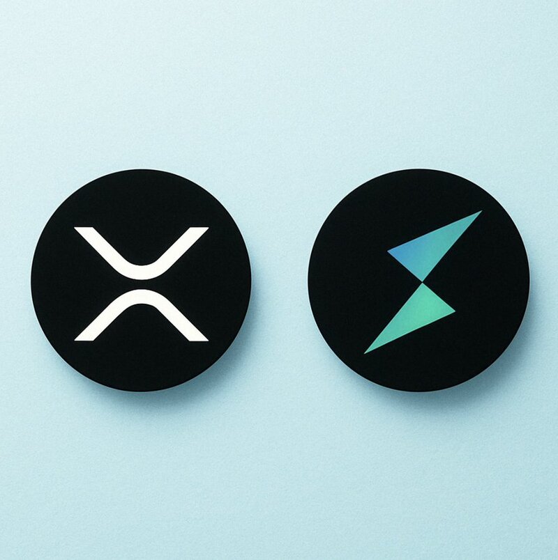 XRP와 토르체인/출처: X